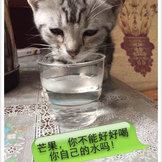 办理存款证明费用与时间